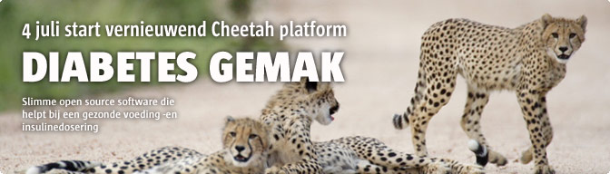Cheetah Main Entrance.jpg